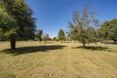 2420 Shoemaker Rd, Eagleville, TN 37060 photo 14