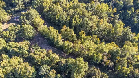 0 Doctor Lewis Rd, Ripley, TN 38063
