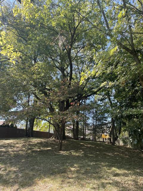223 Devrow Ct, Franklin, TN 37064 photo 30