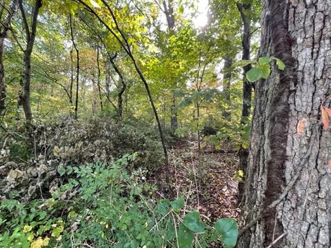 0 Bluff North Cir, Monteagle, TN 37356
