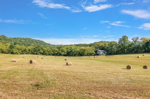 470 Templow Rd, Bethpage, TN 37022 photo 5