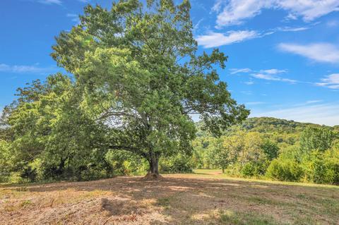 470 Templow Rd, Bethpage, TN 37022 photo 4
