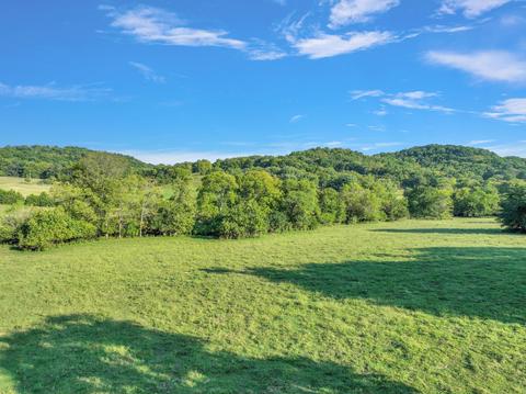 470 Templow Rd, Bethpage, TN 37022 photo 31