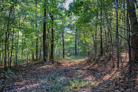470 Templow Rd, Bethpage, TN 37022 photo 46