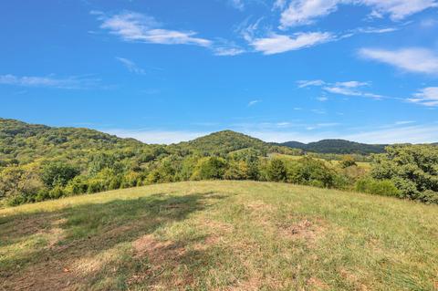 470 Templow Rd, Bethpage, TN 37022 photo 3