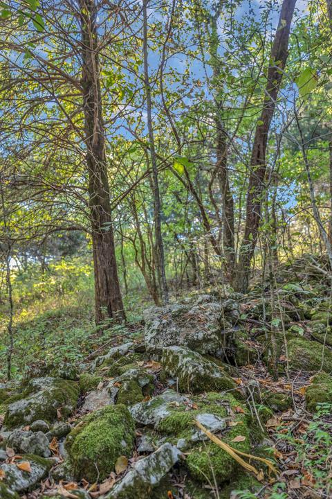 470 Templow Rd, Bethpage, TN 37022 photo 45