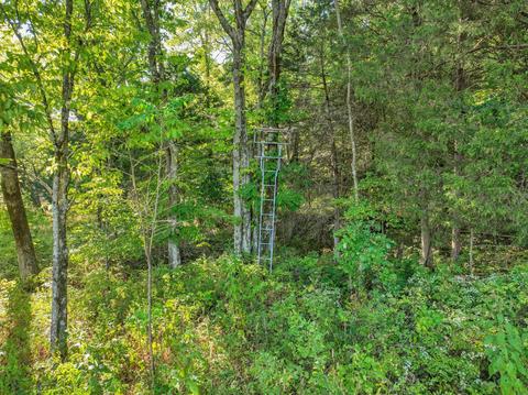 470 Templow Rd, Bethpage, TN 37022 photo 42