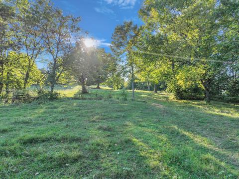 470 Templow Rd, Bethpage, TN 37022 photo 55