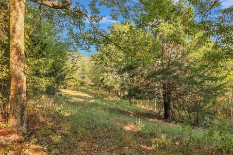 470 Templow Rd, Bethpage, TN 37022 photo 37
