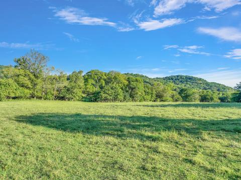 470 Templow Rd, Bethpage, TN 37022 photo 32