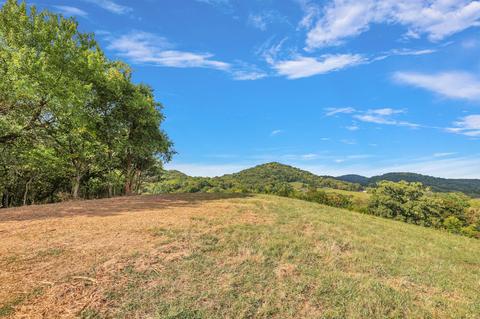 470 Templow Rd, Bethpage, TN 37022 photo 7