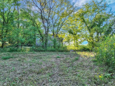 470 Templow Rd, Bethpage, TN 37022 photo 56