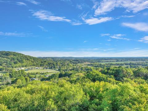 470 Templow Rd, Bethpage, TN 37022 photo 54