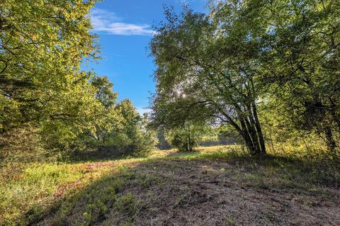 470 Templow Rd, Bethpage, TN 37022 photo 38