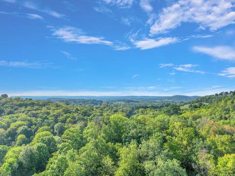 470 Templow Rd, Bethpage, TN 37022 photo 52