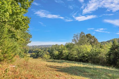 470 Templow Rd, Bethpage, TN 37022 photo 35