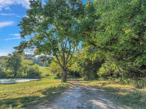 470 Templow Rd, Bethpage, TN 37022 photo 14