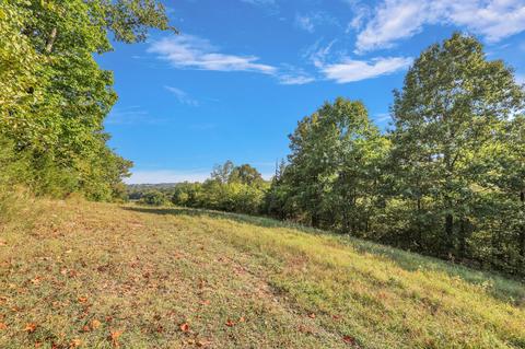 470 Templow Rd, Bethpage, TN 37022 photo 36