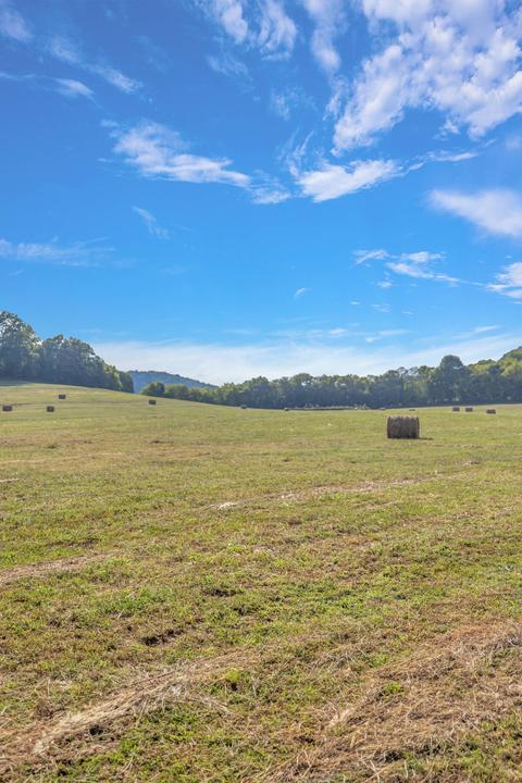 470 Templow Rd, Bethpage, TN 37022 photo 25