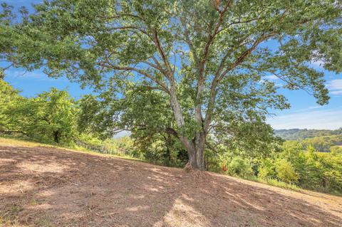 470 Templow Rd, Bethpage, TN 37022 photo 8