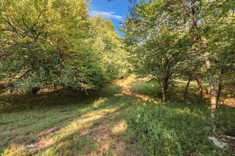 470 Templow Rd, Bethpage, TN 37022 photo 40