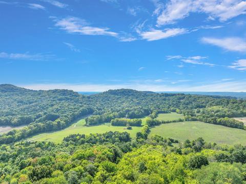 470 Templow Rd, Bethpage, TN 37022 photo 61