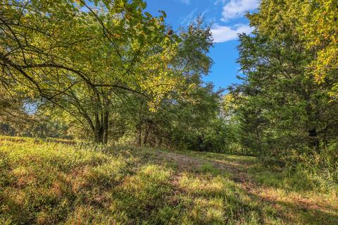 470 Templow Rd, Bethpage, TN 37022 photo 39