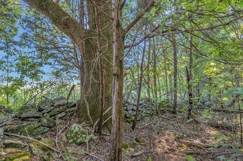 470 Templow Rd, Bethpage, TN 37022 photo 43