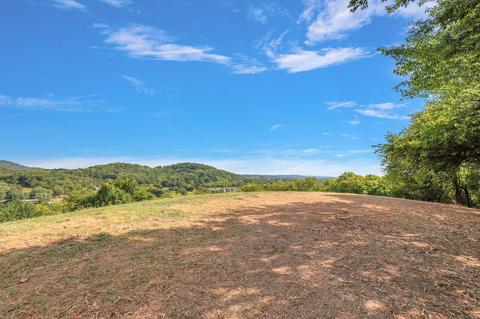 470 Templow Rd, Bethpage, TN 37022 photo 9
