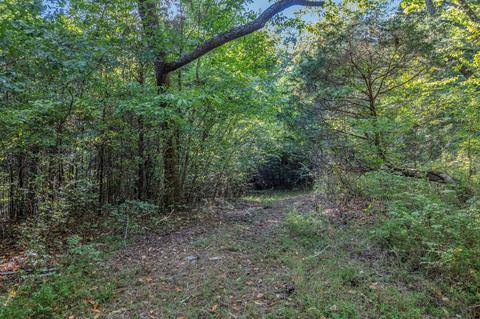 470 Templow Rd, Bethpage, TN 37022 photo 48