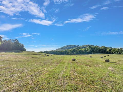 470 Templow Rd, Bethpage, TN 37022 photo 6
