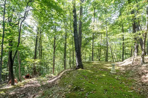 6089 Norman Thomas Rd, Silver Point, TN 38582 photo 35