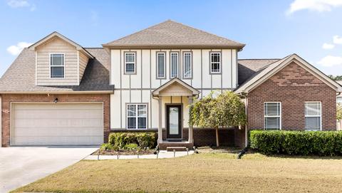 894 Windrush Loop, Chattanooga, TN 37421 photo 1