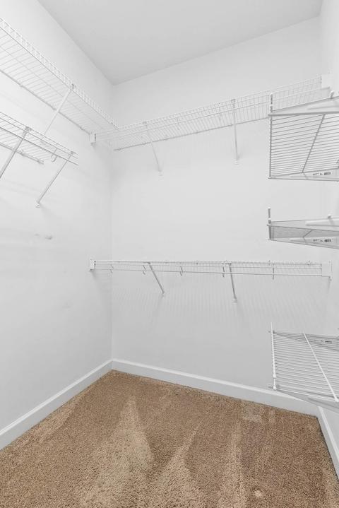 894 Windrush Loop, Chattanooga, TN 37421 photo 20