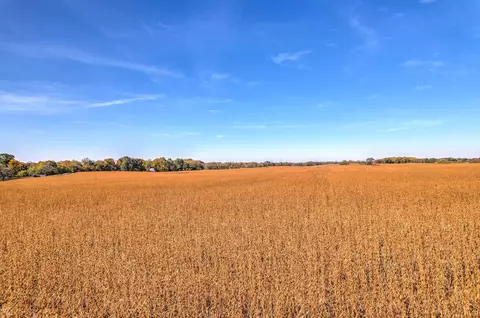 6518 Highway 49 E, Springfield, TN 37172 photo 5