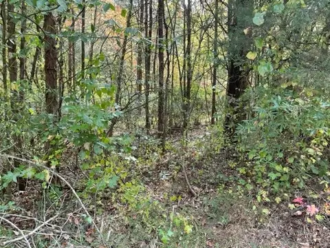 575 River Rd, Morrison, TN 37357 photo 6