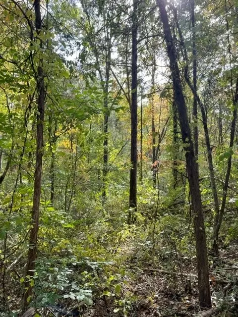 575 River Rd, Morrison, TN 37357 photo 5
