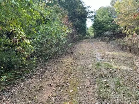 575 River Rd, Morrison, TN 37357 photo 7