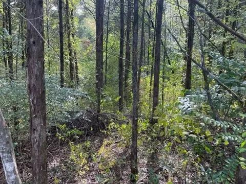 575 River Rd, Morrison, TN 37357 photo 8