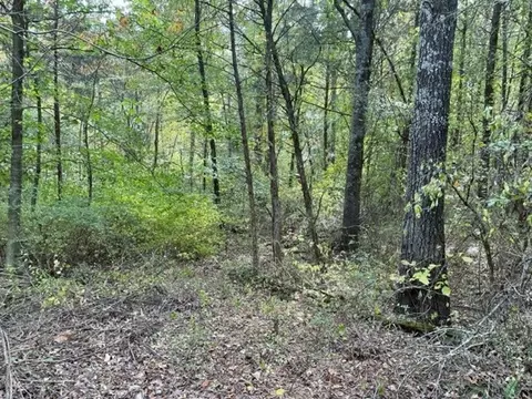 575 River Rd, Morrison, TN 37357 photo 9