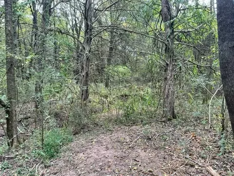575 River Rd, Morrison, TN 37357 photo 12