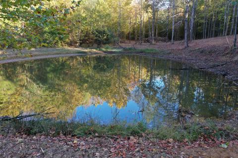 3846 Culps Bend Rd, Clifton, TN 38425