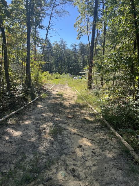 468 Dollar Dr, Altamont, TN 37301