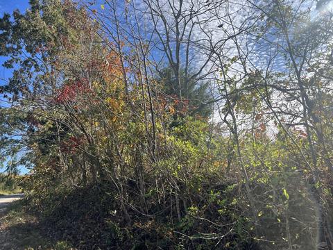 3 Clyde Webb, Tennessee Ridge, TN 37178