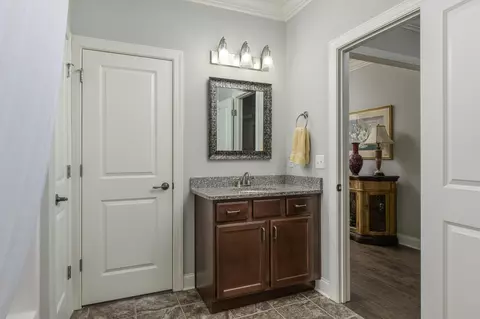 8277 River Birch Loop, Ooltewah, TN 37363 photo 30
