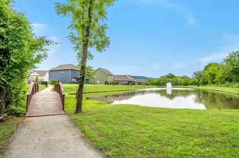 8277 River Birch Loop, Ooltewah, TN 37363 photo 43