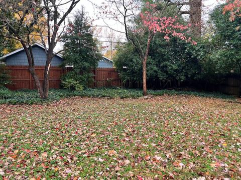 720 E Burton St, Murfreesboro, TN 37130 photo 26