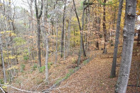 129 Brookside Pt, Springfield, TN 37172 photo 14