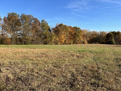 2555 Cooper Creek Rd, Woodlawn, TN 37191