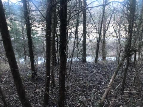 0 Sugar Creek Rd W, Gainesboro, TN 38562